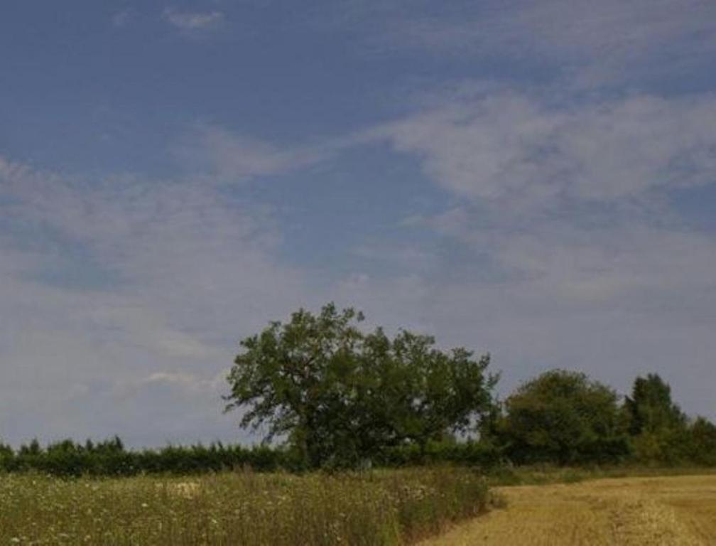 Le Clos Du Murier Chassignelles Exterior foto